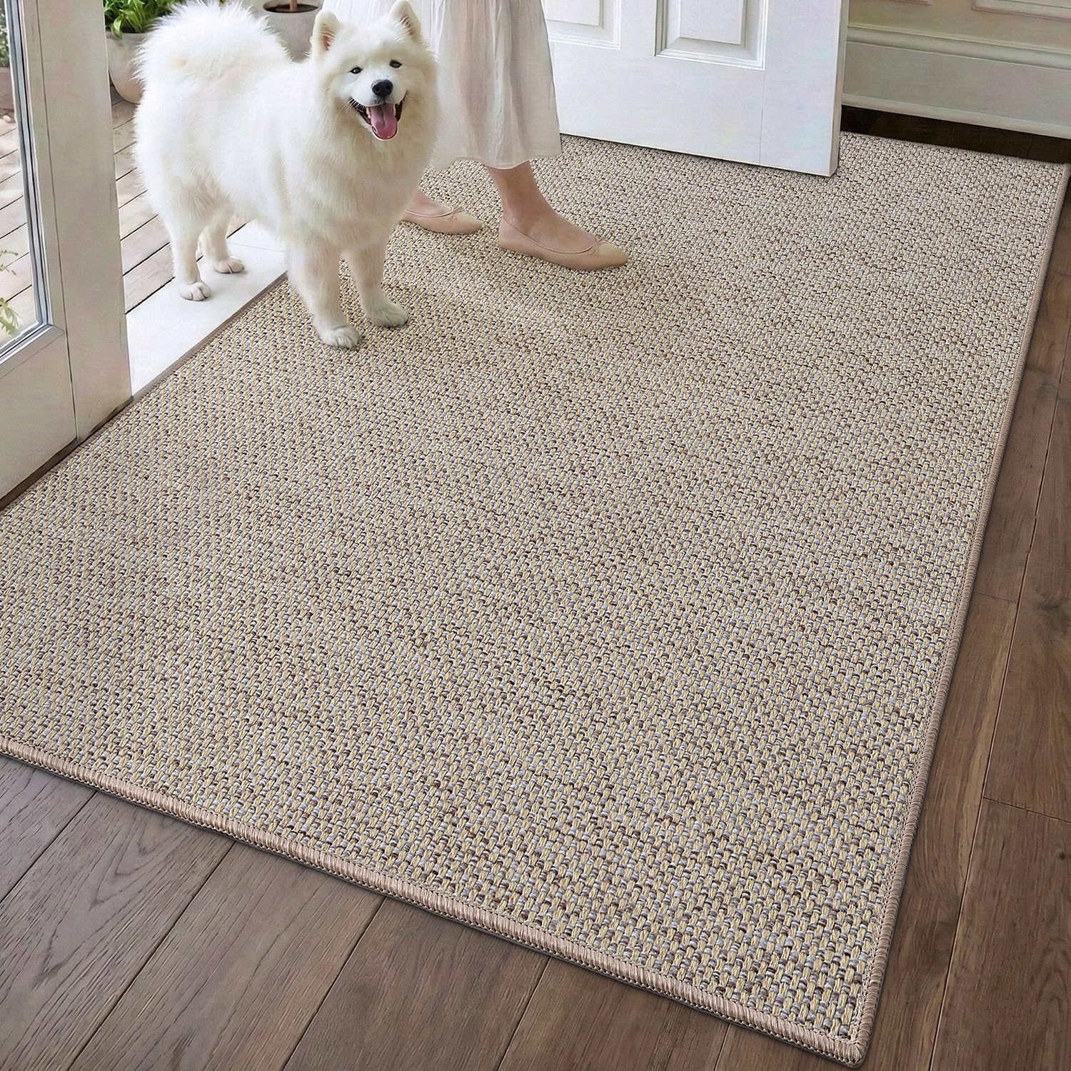 Amazon.com : DEXI Ultra Thin Door Mat Indoor Entrance 32x48, Non